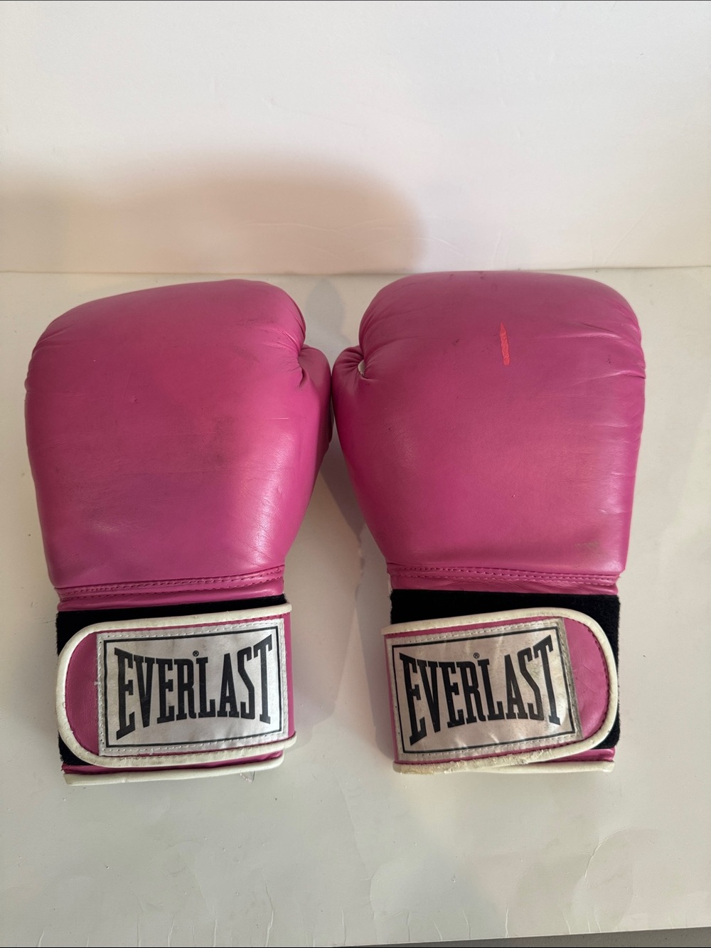 Everlast Women’s Boxing Gloves 14 oz